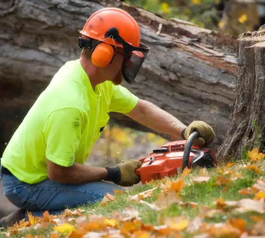 tree services Cozad